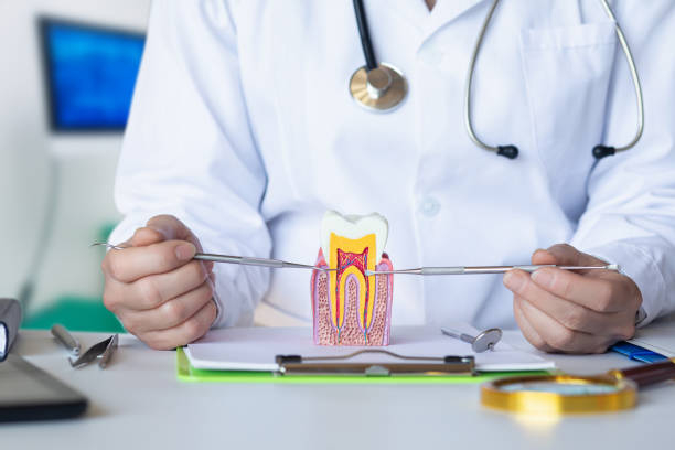 Best Tooth Pain Emergency Relief  in Merryville, LA